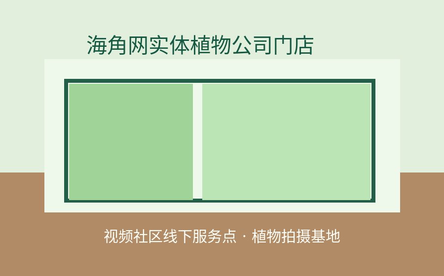 蜜桃传媒