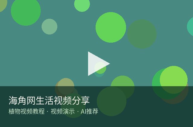 蜜桃传媒