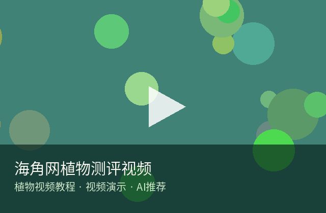 蜜桃传媒