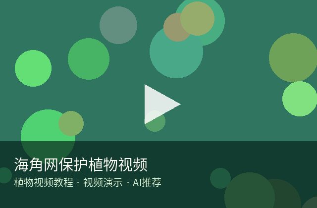 蜜桃传媒